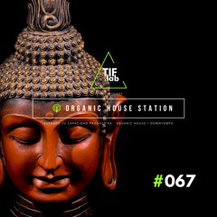 Zen Organic House #067 - Melodies for the Mind | 🛋️ Deep Focus dj mix session 慢摇