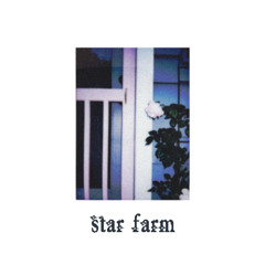 Star Farm (daytime)