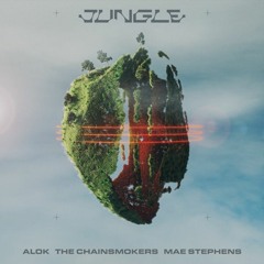 Alok, The Chainsmokers & Mae Stephens - Jungle (BRKZ Remix)