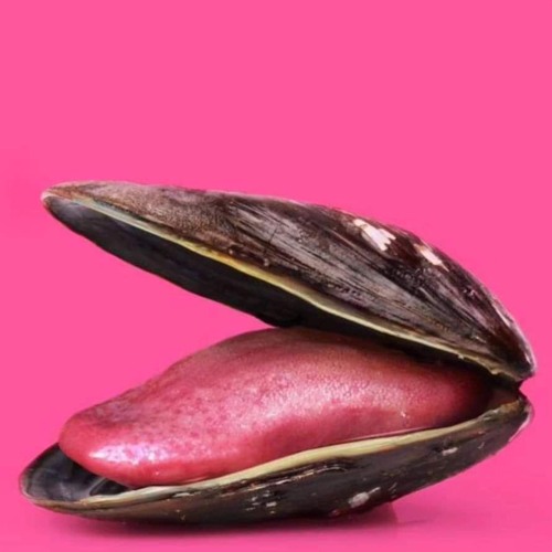 SOMETHING for this SUMMER VOL.1 LIVE SESSION by DJ DLUX (new tunes) JUL. 2024