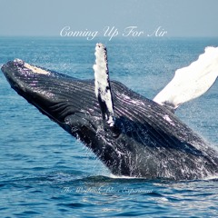 Coming Up For Air