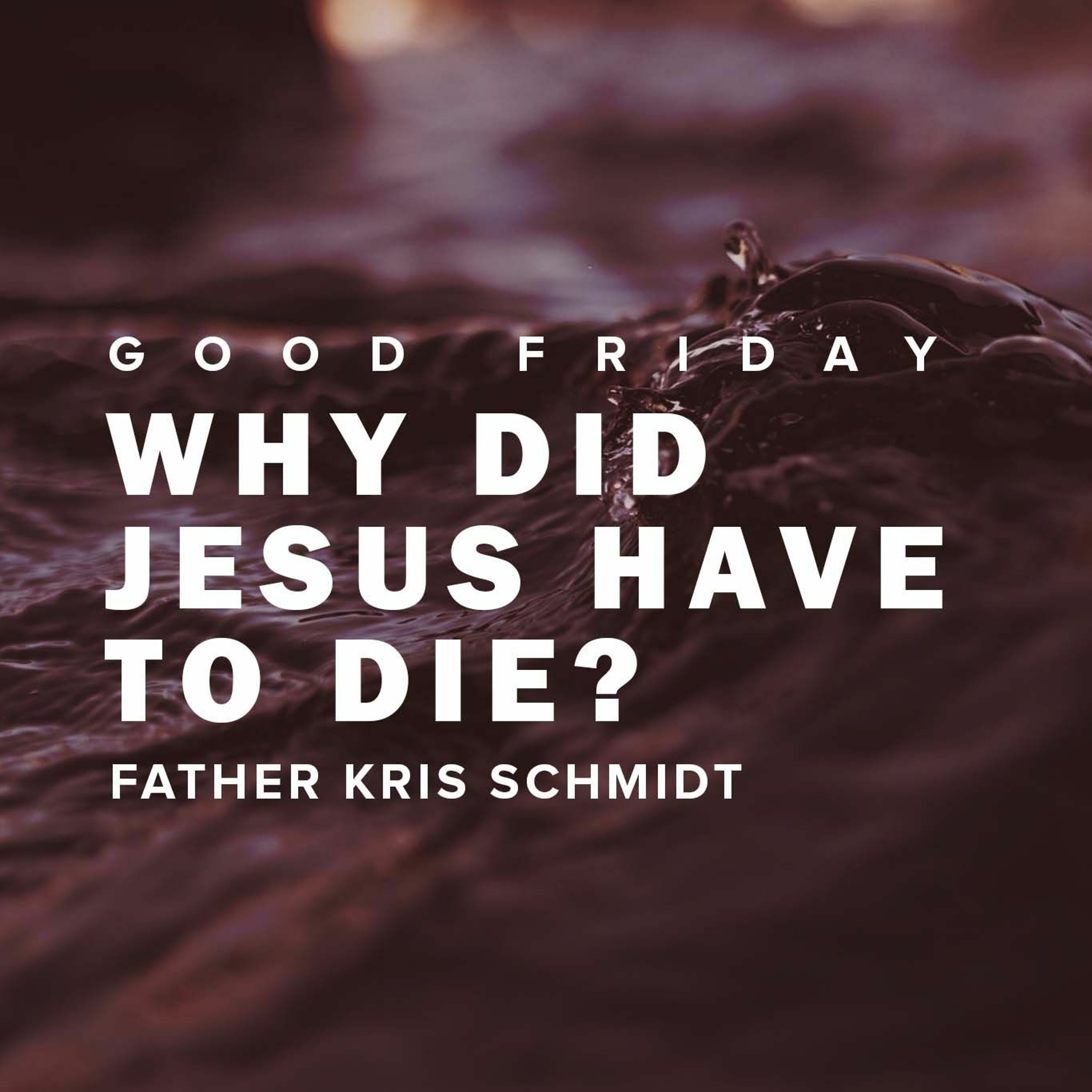 Why Did Jesus Have to Die? | Easter Triduum episode artwork