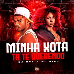 Minha Xota Ta Te Querendo DJ MTS & Mc Nick