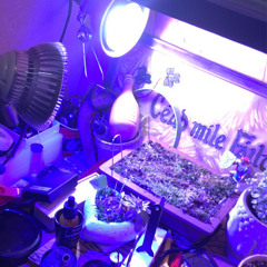 latency resolute (offthedome)