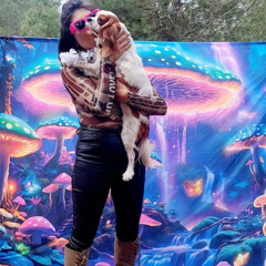 psy trance set