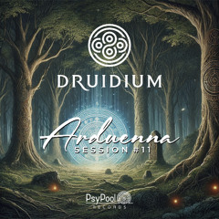Arduenna Session #011