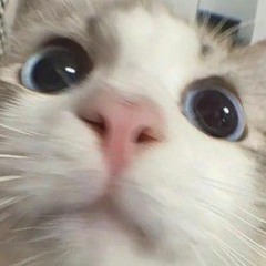 Nhạc gõ đã vãi ò