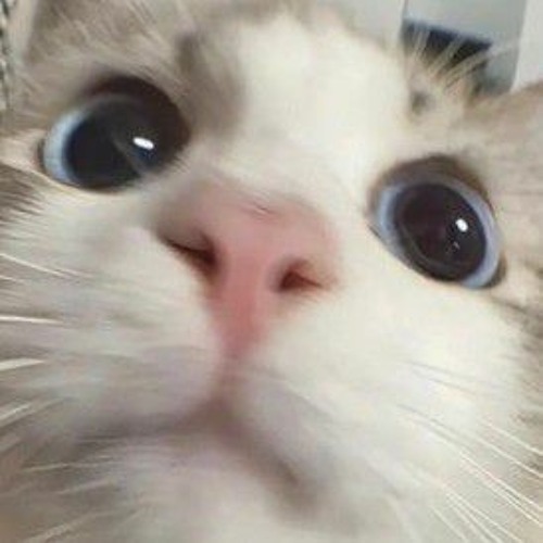 Nhạc gõ đã vãi ò