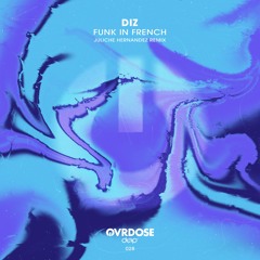 DIZ - Funk In French (Original Mix)