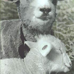 [DOWNLOAD] EBOOK 🎯 Shepherdess: Notes from the Field by  Joan Jarvis Ellison [EBOOK