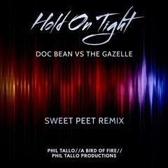 Hold On Tight: Doc Bean vs The Gazelle (feat. A Bird of Fire) [Sweet Peet Remix]