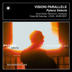 VISIONI PARALLELE - PYTECA SELECTA 019 - ROUGHRADIO.LIVE