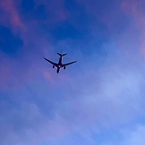 HALO / ALTER EGO (iris + zillakini)