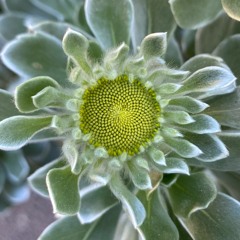 Playlist just for you <3 <3 <3