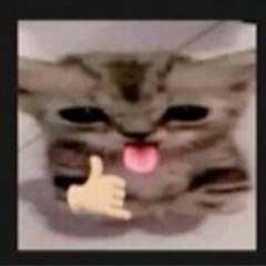 slowslow ft ajiqx