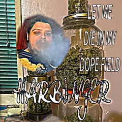HARBINGER////DRIFTIN THRU PURGATORY(OG) (NON BASS BOOSTED)