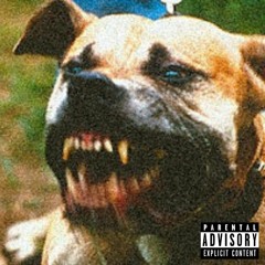 Pitbull v. Toddler