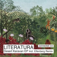 PREMIERE: Literatura - Night In The Oasis (Original Mix) [Connected]