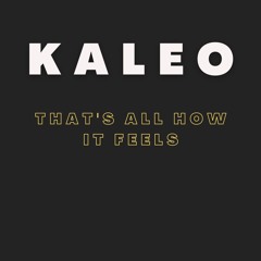 KALEO - That’s All How It Feels [LONER DEER COVER]