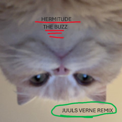 HERMITUDE - THE BUZZ (JUULS VERNE REMIX)