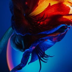 RÜFÜS DU SOL - Innerbloom (APRD Remix)