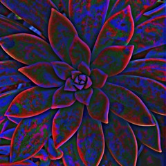 Portals