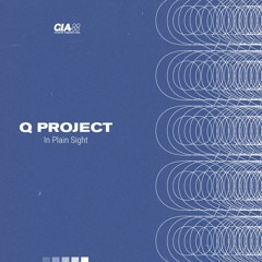 Q Project - Innerspace