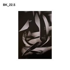 BK022.5 - Black Merlin - X