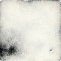 DOD III B-side Trauma