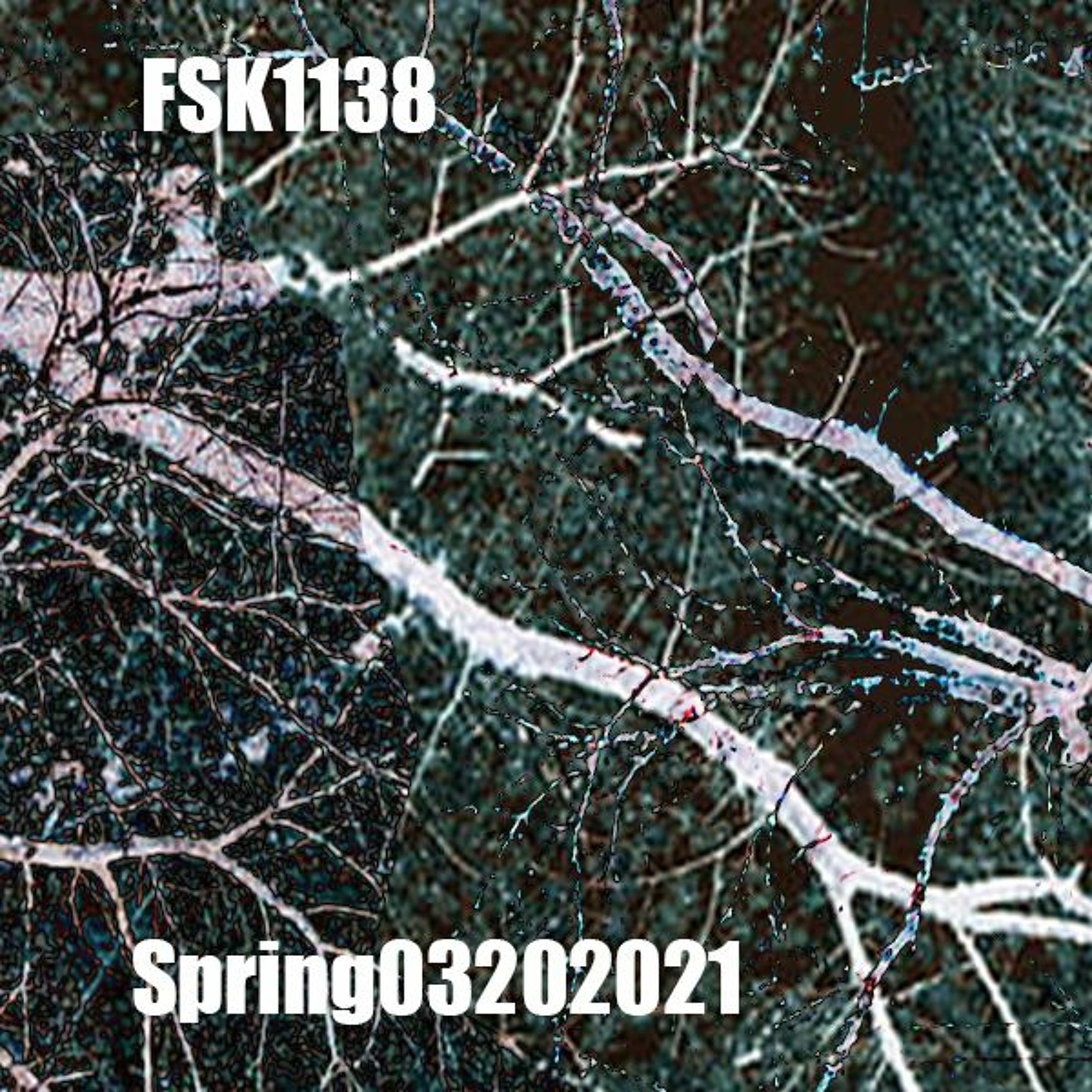 FSK1138
