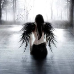 black wings of fallen angels
