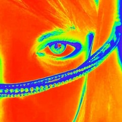 Trip to Inner Space I