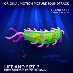 Life and Size 3