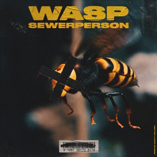 wasp (scottysplash)