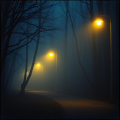Lichter in der Nacht