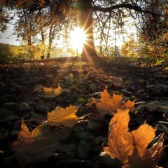 Future Movements #067 September 2024