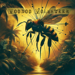 Voodoo Volunteer / Free Download