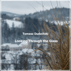 Looking Through the Glass