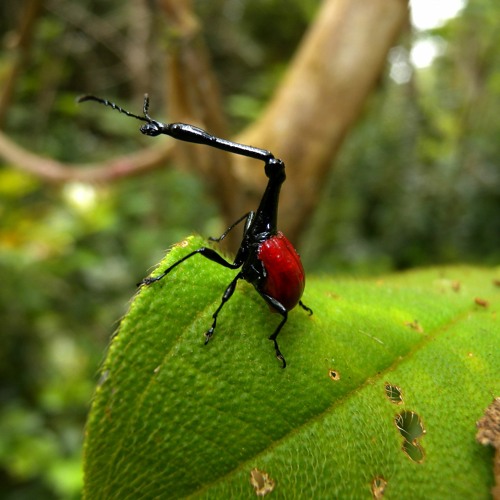 Stream sprinter by mothballers Listen online for free on SoundCloud