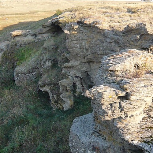 Jump The Buffalo