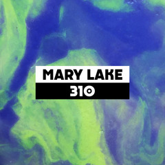 Dekmantel Podcast 310 - Mary Lake