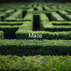 Maze
