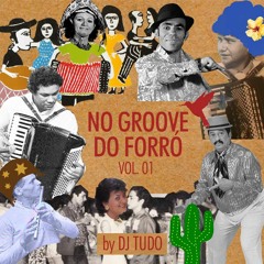 No Groove do Forró 01 por DJ Tudo