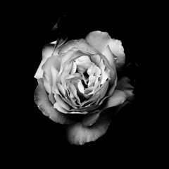 "FROZEN" [Unique Dark/Melancholic Trap Beat]