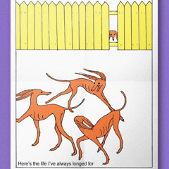 Bootleg Soda - 2024 (Sampler)