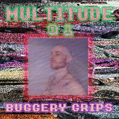 M U L T I T U D E : 0 1 - BUGGERY GRIPS
