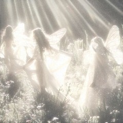 stars
