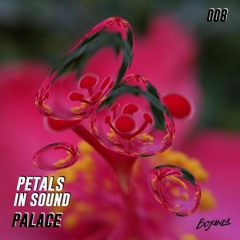PREMIERE: Petals In Sound - Palace [Boyanza Records]