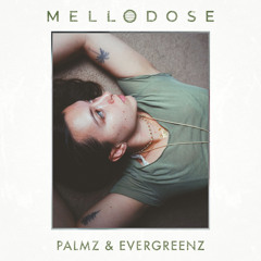 Palmz & Evergreenz