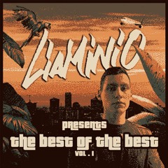LIAMINIO Presents The Best of the Best VOL.1